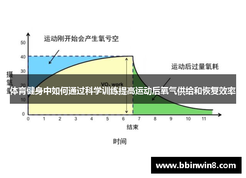 体育健身中如何通过科学训练提高运动后氧气供给和恢复效率